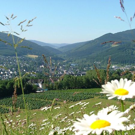 Hotel-Restaurant Schettel Olsberg Exteriör bild