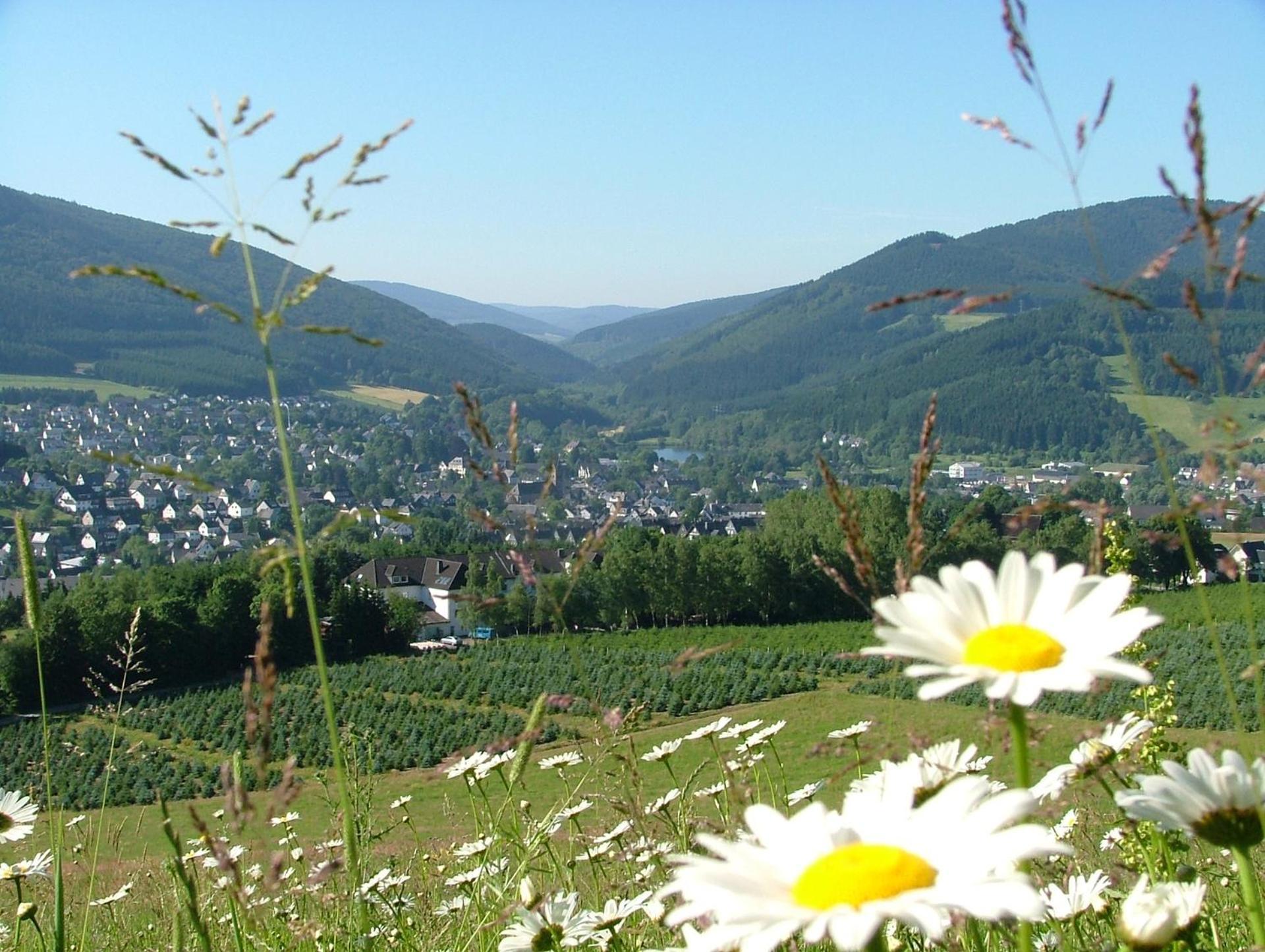 Hotel-Restaurant Schettel Olsberg Exteriör bild